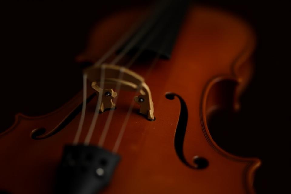 Gros plan d'un violon fait sur mesure, avec des détails en bois précieux